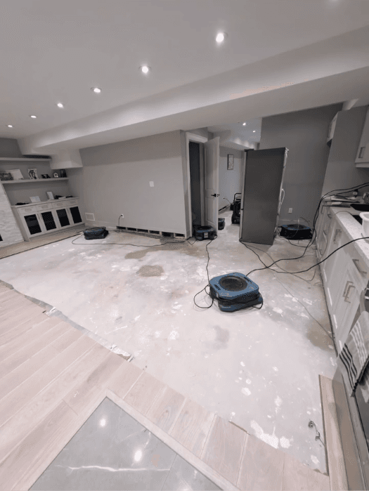Basement main living area — before